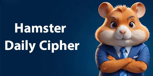 Hamster Kombat Daily Cipher challenge screen with morse code input interface and a